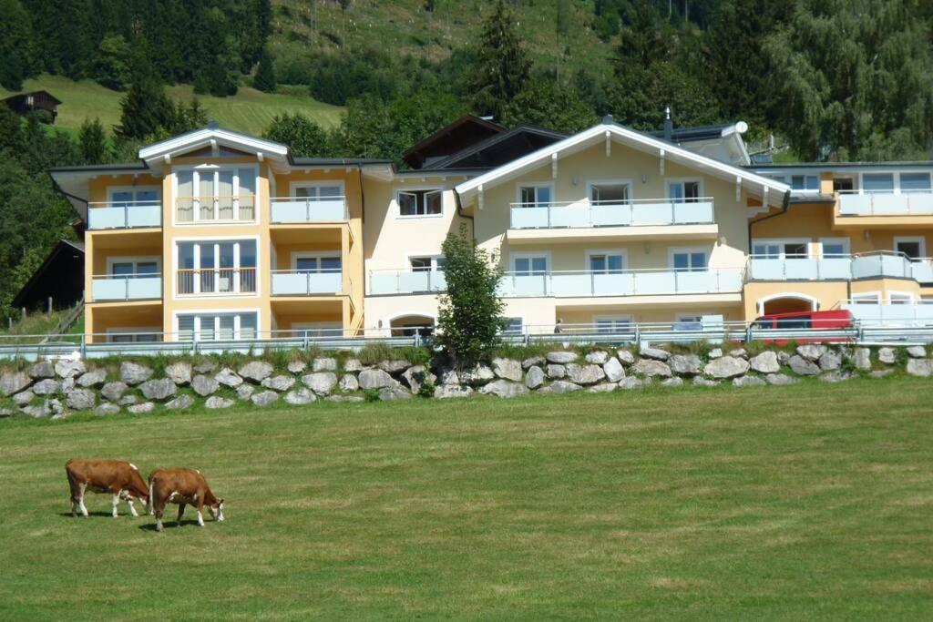 Apartment Hohe Tauern 皮森多夫 外观 照片