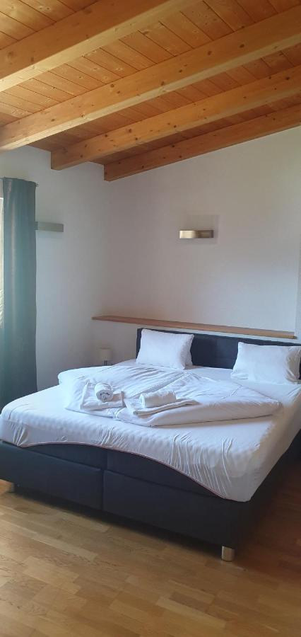 Apartment Hohe Tauern 皮森多夫 外观 照片